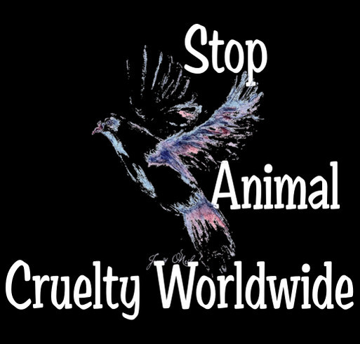 Stop Animal Cruelty Worldwide blanket program for abused animals Custom Ink  Fundraising