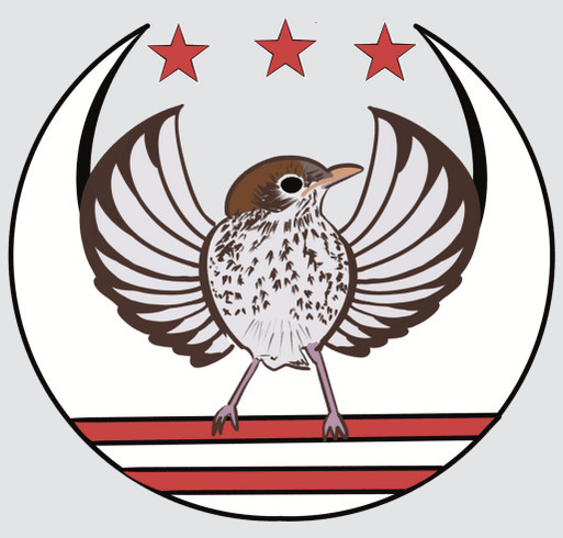 DC Rebellion shirt design - zoomed