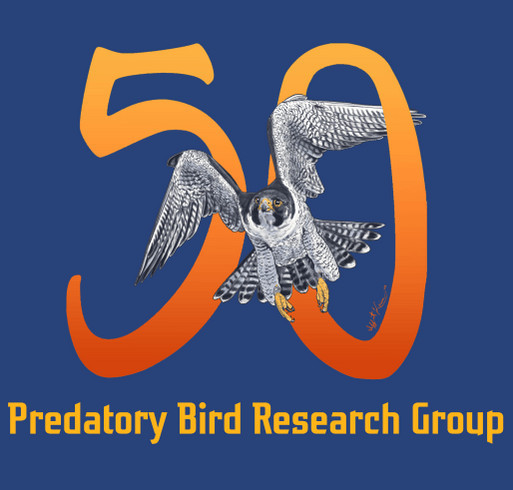 Predatory Bird Research Group Volunteer Swag Relaunch shirt design - zoomed