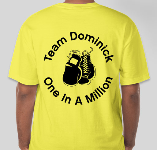 Team Dominick Fundraiser - unisex shirt design - back