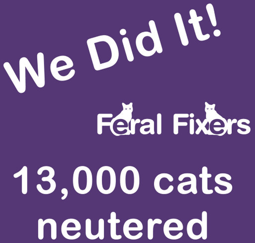 We Did It! shirt design - zoomed