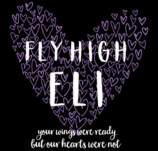fly high eli shirt design - zoomed