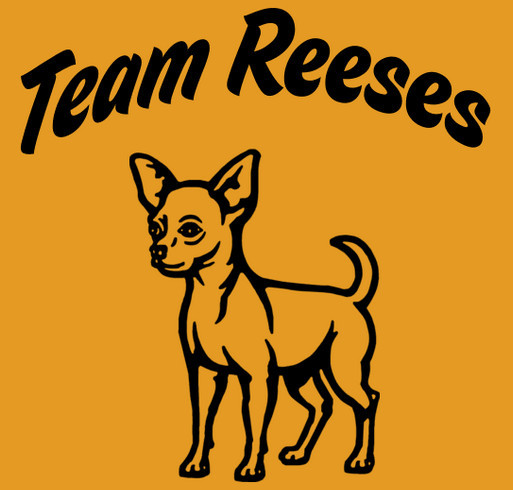 Reeses Road to Recovery shirt design - zoomed