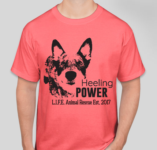L.I.F.E. Anniversary Heeling Power Fundraiser - unisex shirt design - front