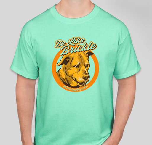 Be Like Brickle Fundraiser - unisex shirt design - front