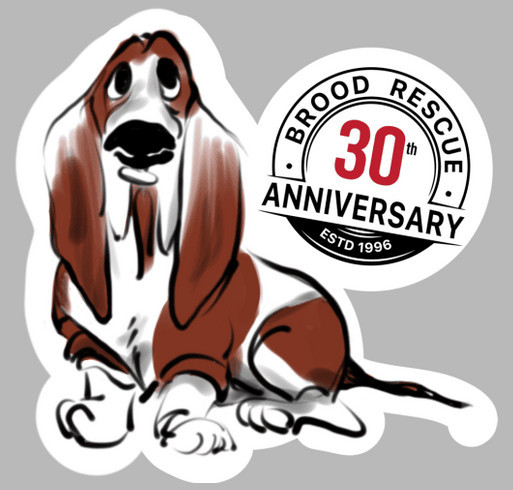 BROOD 30th Anniversary and Ramble shirt design - zoomed