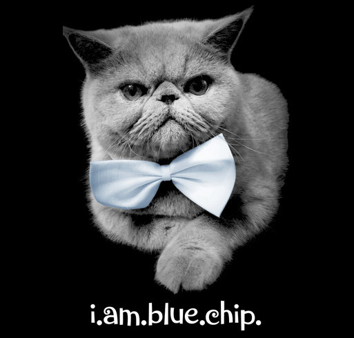 Blue Chip Smexiness T-Shirt Campaign shirt design - zoomed