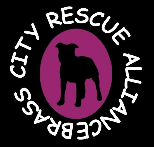 Brass City Rescue Alliance shirt design - zoomed