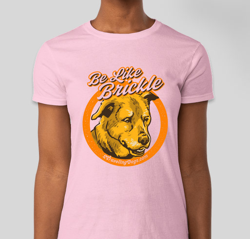 Brickle’s Vet Bills And Treatment Fundraiser - unisex shirt design - front