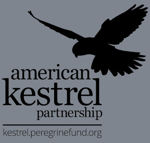 2016 American Kestrel Partnership T-Shirt Fundraiser shirt design - zoomed