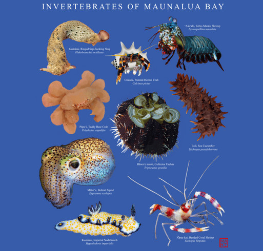 Mālama Maunalua Invertebrates T-Shirt Series Fundraiser shirt design - zoomed