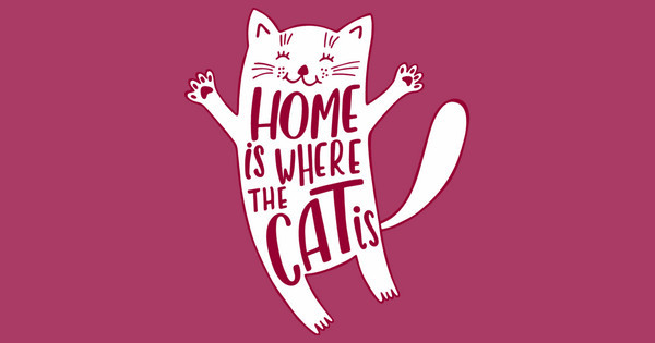 家里的猫在哪