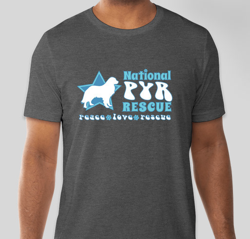 NGPR Groovy Summer Logo Tees Fundraiser - unisex shirt design - front