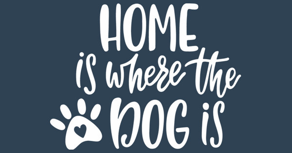 home is where the dog is