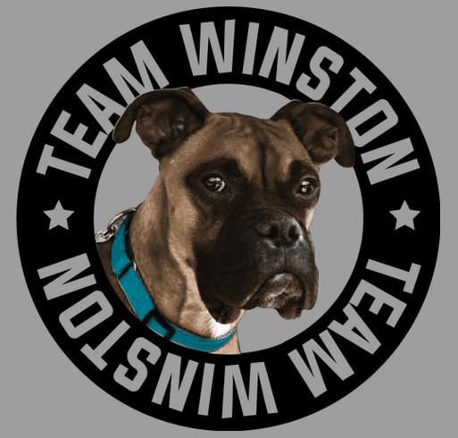 Team Winston- Stop Animal Abuse and Neglect shirt design - zoomed