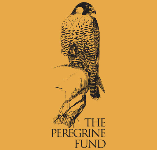 2026 California Condor Release shirt design - zoomed