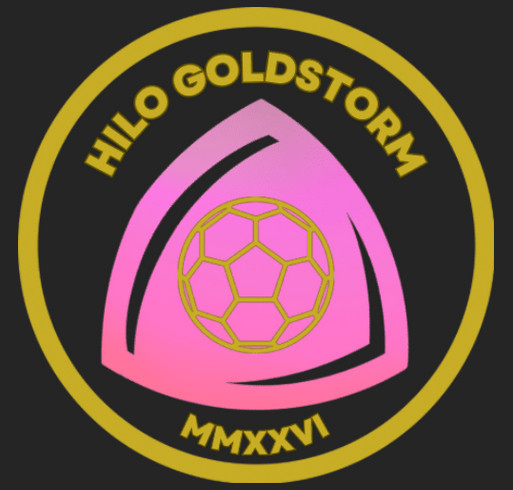 Hilo GoldStorm Nike quarter-zip - Black shirt design - zoomed