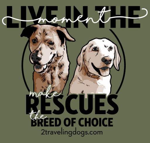 The 2 Traveling Dogs "Live In The Moment" Tour shirt design - zoomed