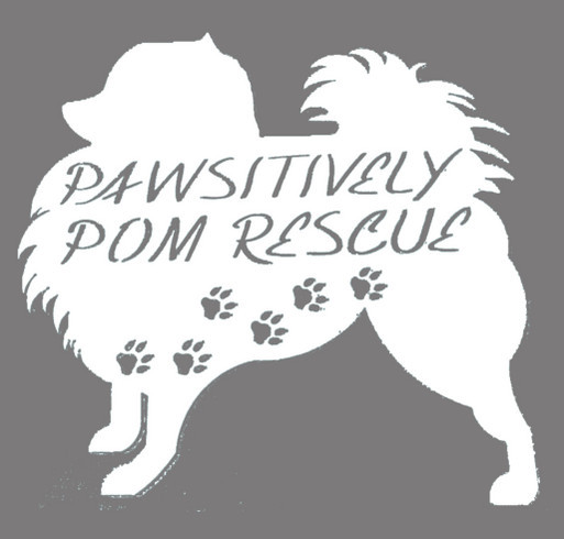 Pawsitively Pom Rescue Hoodie shirt design - zoomed