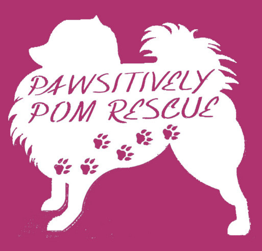 Pawsitively Pom Rescue Hoodie shirt design - zoomed