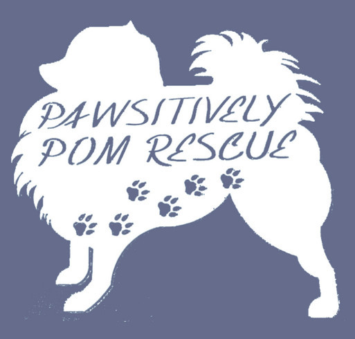 Pawsitively Pom Rescue Hoodie shirt design - zoomed