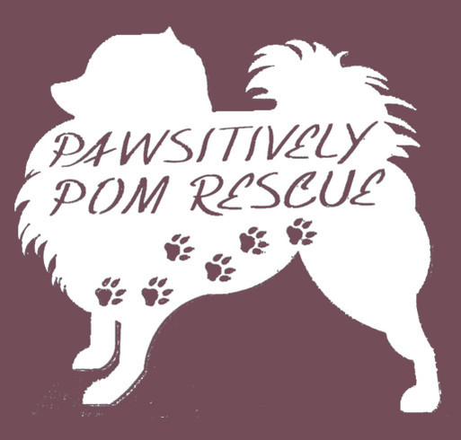 Pawsitively Pom Rescue Hoodie shirt design - zoomed