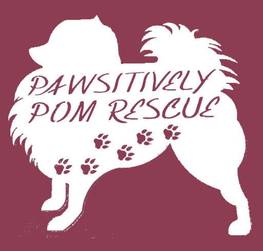 Pawsitively Pom Rescue Hoodie shirt design - zoomed