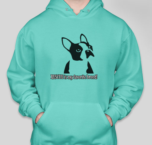 Midwest best sale boston terrier