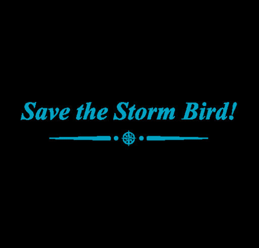 Stormvogel Rising. Project Stormvogel is a grassroots effort to save the last sailing cargo boat in the southern Caribbean. It encompasses youth development, heritage conservation and community pride. shirt design - zoomed
