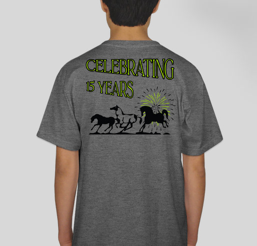 BAHR Celebrating 15 years fundraiser! Fundraiser - unisex shirt design - back