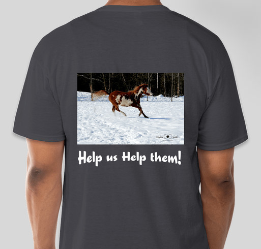 T-shirt Fundrasing for required permints Fundraiser - unisex shirt design - back
