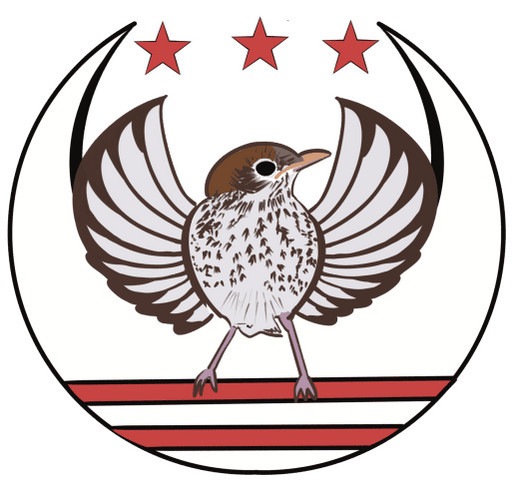 DC Rebellion shirt design - zoomed