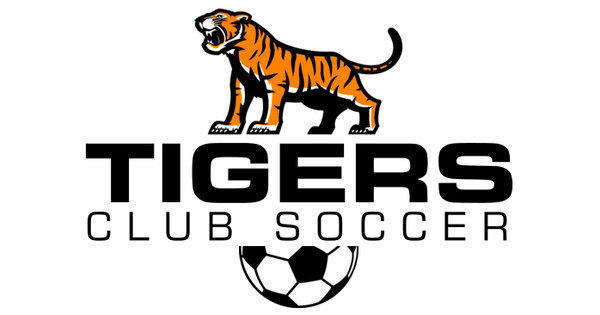 Zoomed in Design Idea Number 62642: soccer