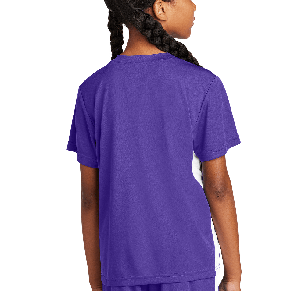 Cesar Chavez DSI 2025 Holiday Single Color Apparel Sale Fundraiser - unisex shirt design - back