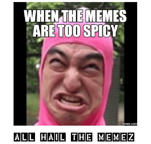 Spicy Memes Custom Ink Fundraising