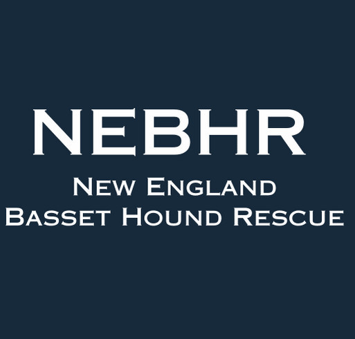 New England Basset Hound Rescue Spring Campaign shirt design - zoomed