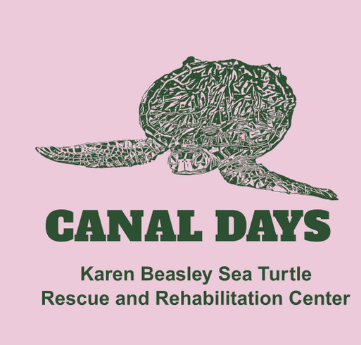 Help Turtles Like Canal! shirt design - zoomed