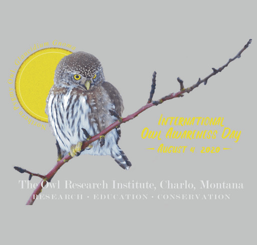 International Owl Awareness Day 2020 shirt design - zoomed