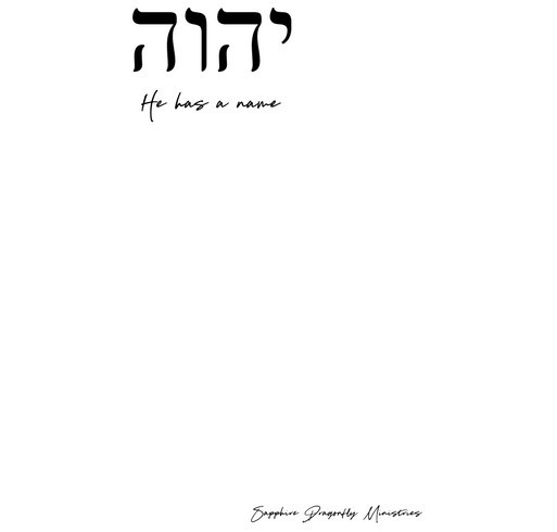 Sapphire Dragonfly Safe Haven Nonprofit Ministry shirt design - zoomed