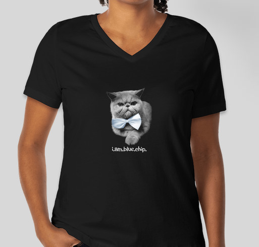 Blue Chip Smexiness T-Shirt Campaign Fundraiser - unisex shirt design - front