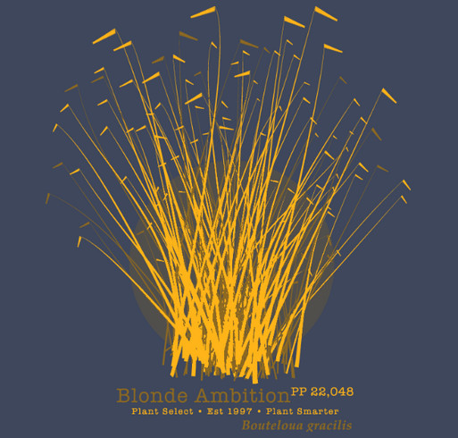 Blonde Ambition Grass- An Iconic Plant Select Plant! shirt design - zoomed