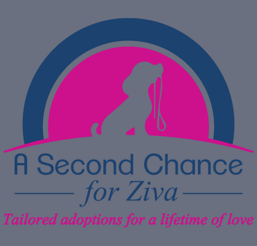 A Second Chance for Ziva shirt design - zoomed