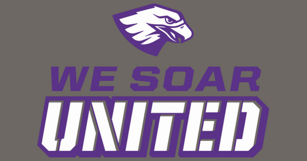 Zoomed in Design Idea Number 56281: we soar united
