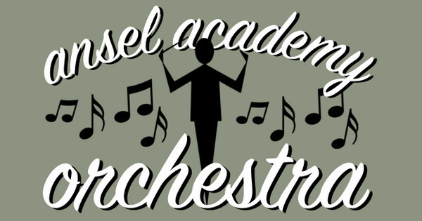 Zoomed in Design Idea Number 40550: Ansel Academy Orchestra