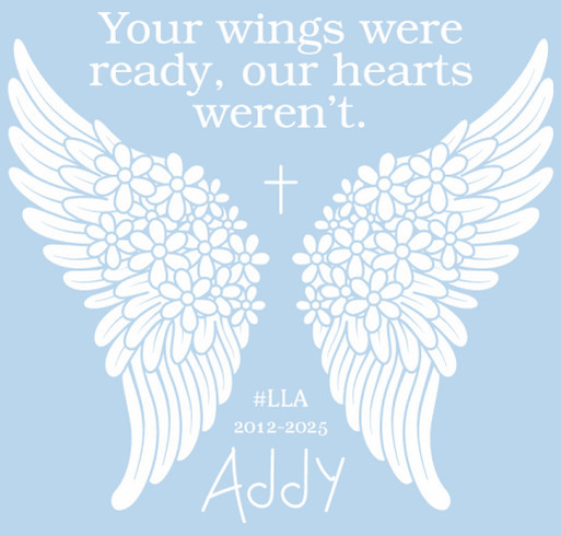 Celebrate Addy: Birthday Shirt Fundraiser shirt design - zoomed