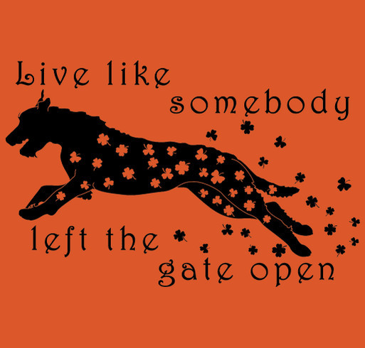 PVIWC Show Fundraiser shirt design - zoomed