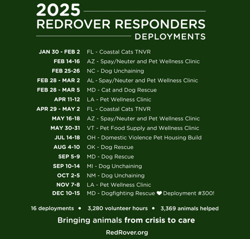 RedRover Responders 2025 Collector's T-shirt shirt design - zoomed