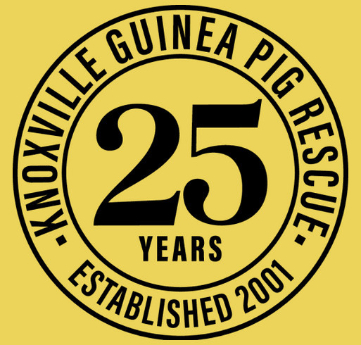 KGPR's 25th Anniversary fundraiser shirt design - zoomed
