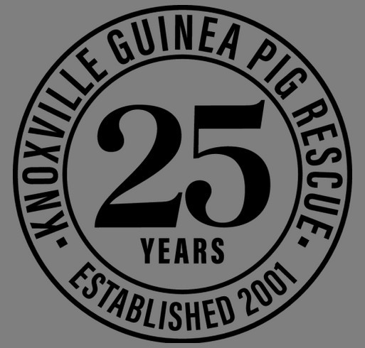 KGPR's 25th Anniversary fundraiser shirt design - zoomed
