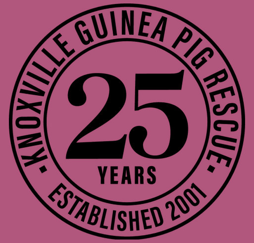 KGPR's 25th Anniversary fundraiser shirt design - zoomed